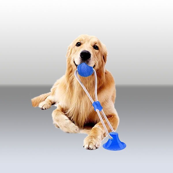 Tienda de productos para mascotas